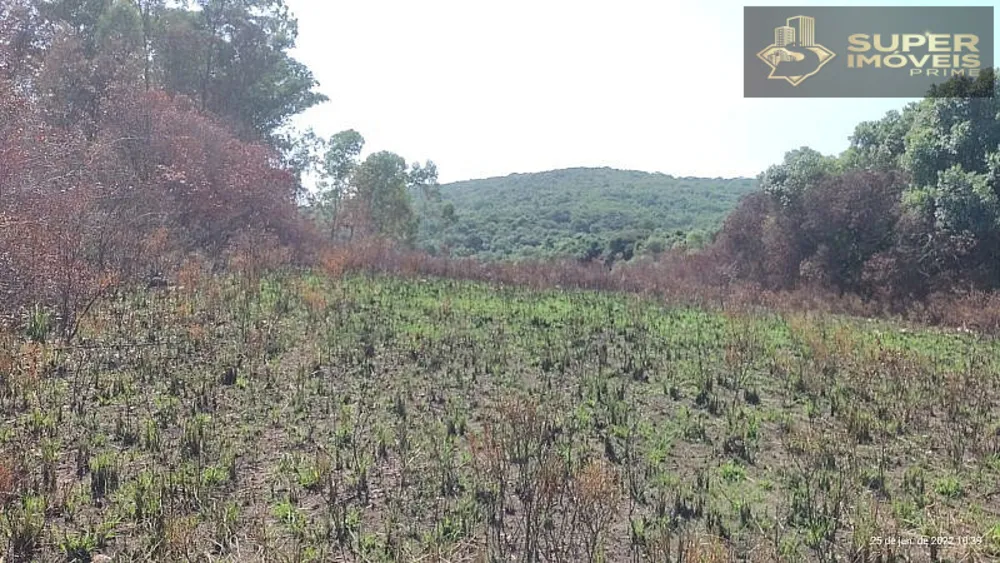 Fazenda, 260 hectares - Foto 17