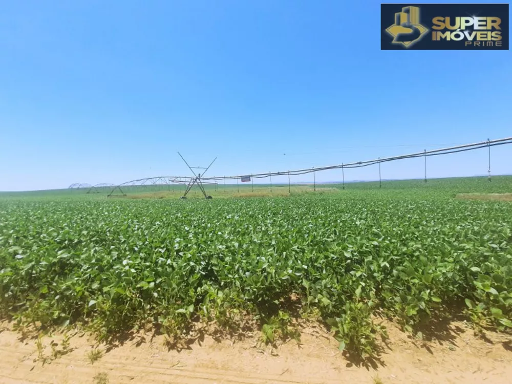 Fazenda à venda com 3 quartos, 21000000m² - Foto 3