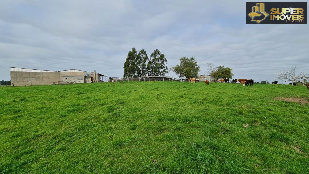 Fazenda à venda com 3 quartos, 2000000m² - Foto 1