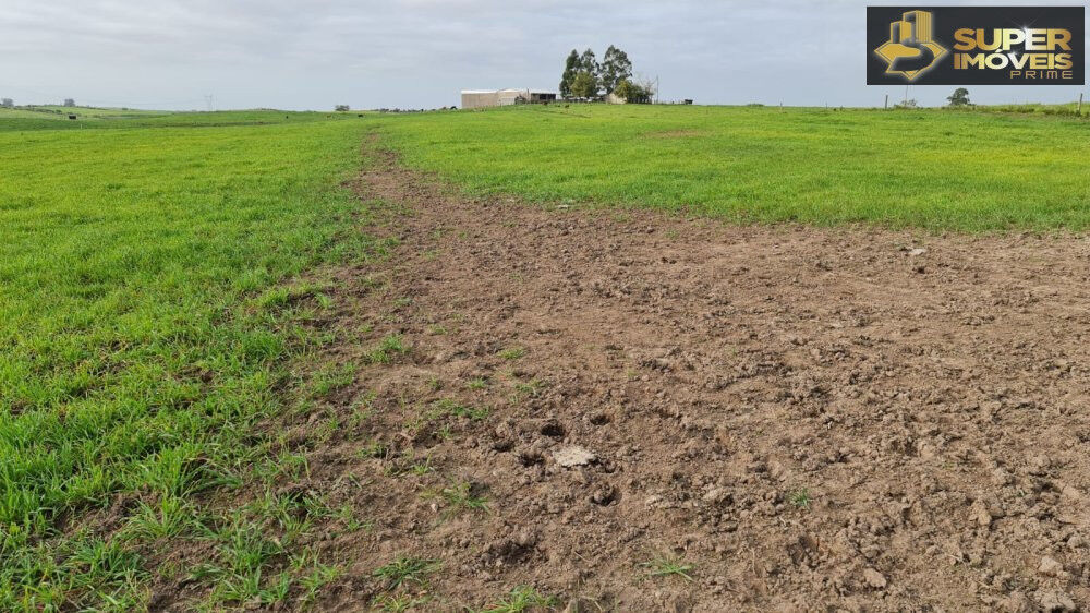 Fazenda à venda com 3 quartos, 2000000m² - Foto 2