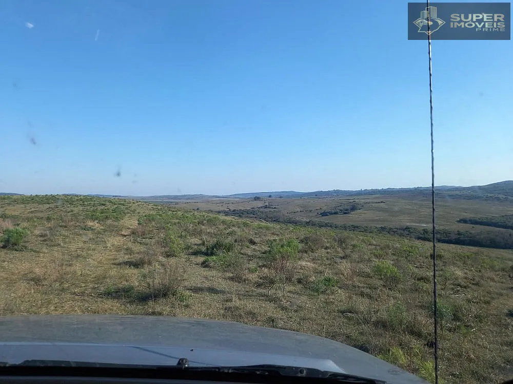 Fazenda, 1500 hectares - Foto 8
