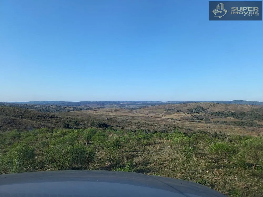 Fazenda, 1500 hectares - Foto 12