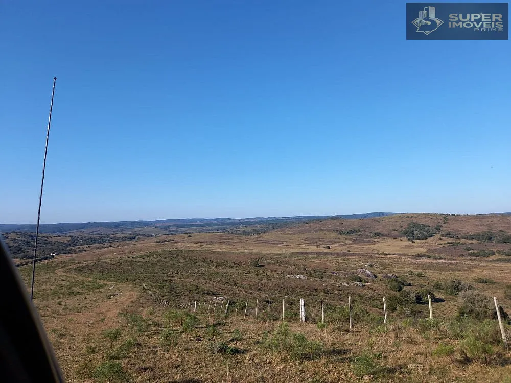 Fazenda, 1500 hectares - Foto 4