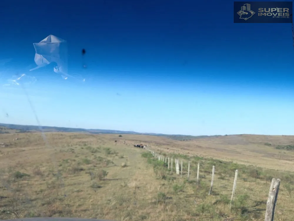 Fazenda, 1500 hectares - Foto 11
