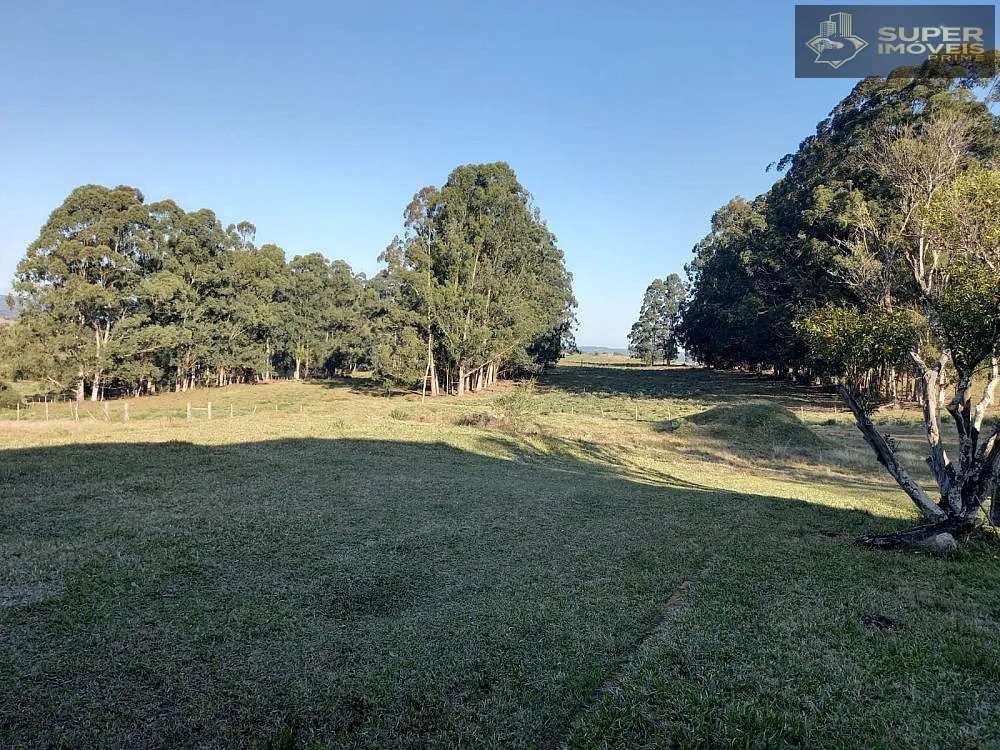 Fazenda, 1500 hectares - Foto 3