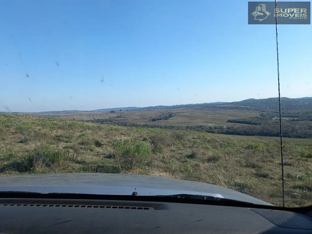 Fazenda, 1500 hectares - Foto 6