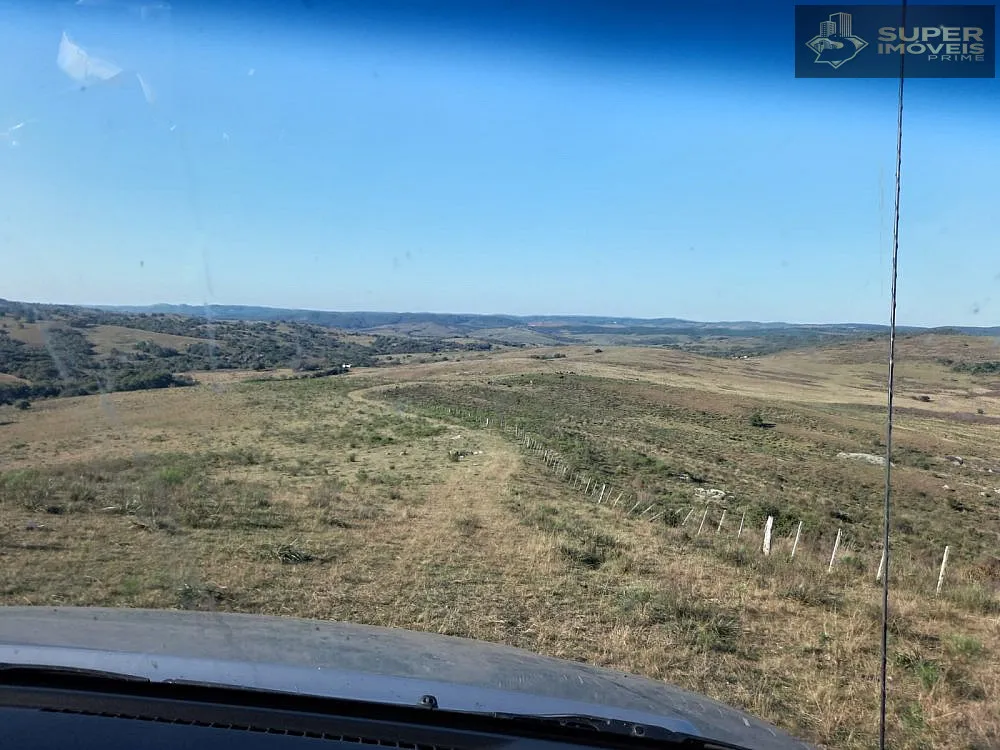 Fazenda, 1500 hectares - Foto 10
