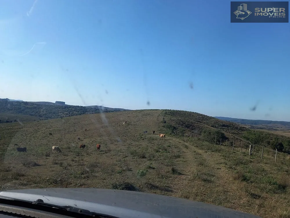 Fazenda, 1500 hectares - Foto 13