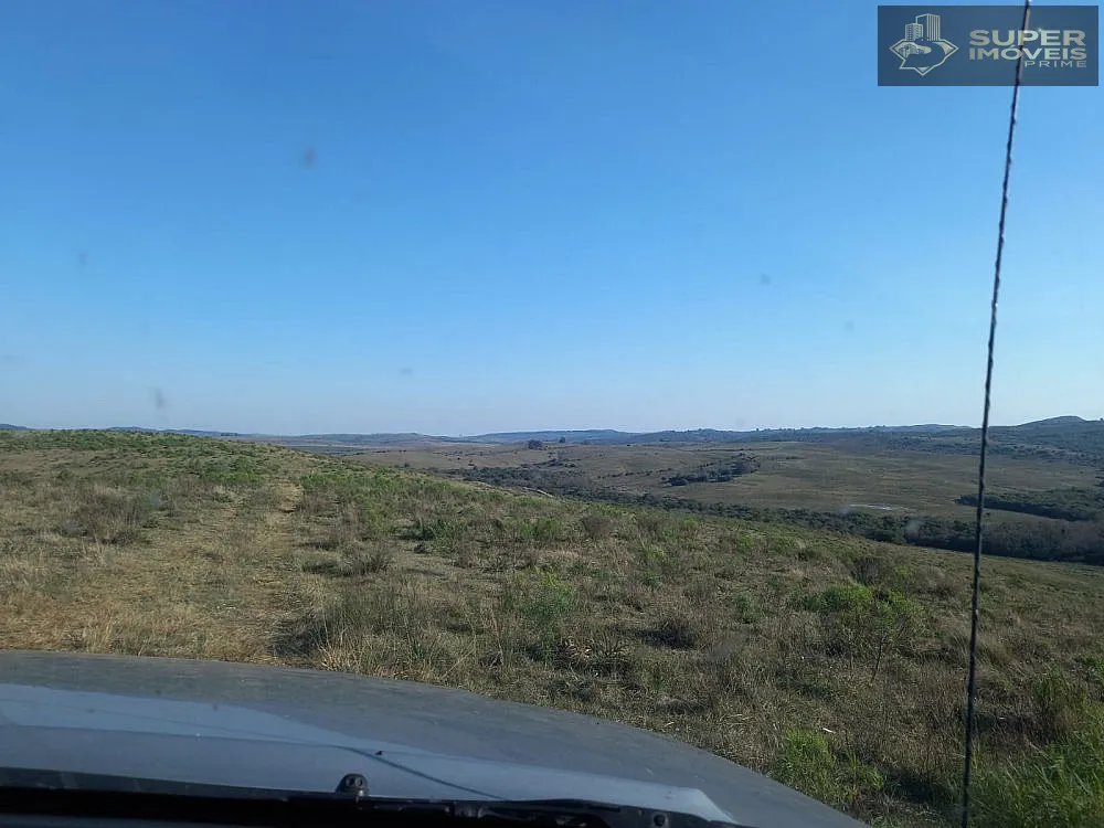 Fazenda, 1500 hectares - Foto 7