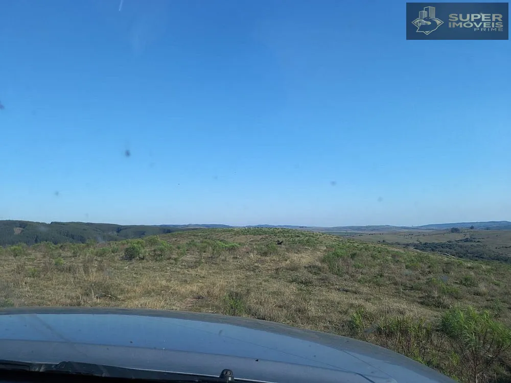 Fazenda, 1500 hectares - Foto 9