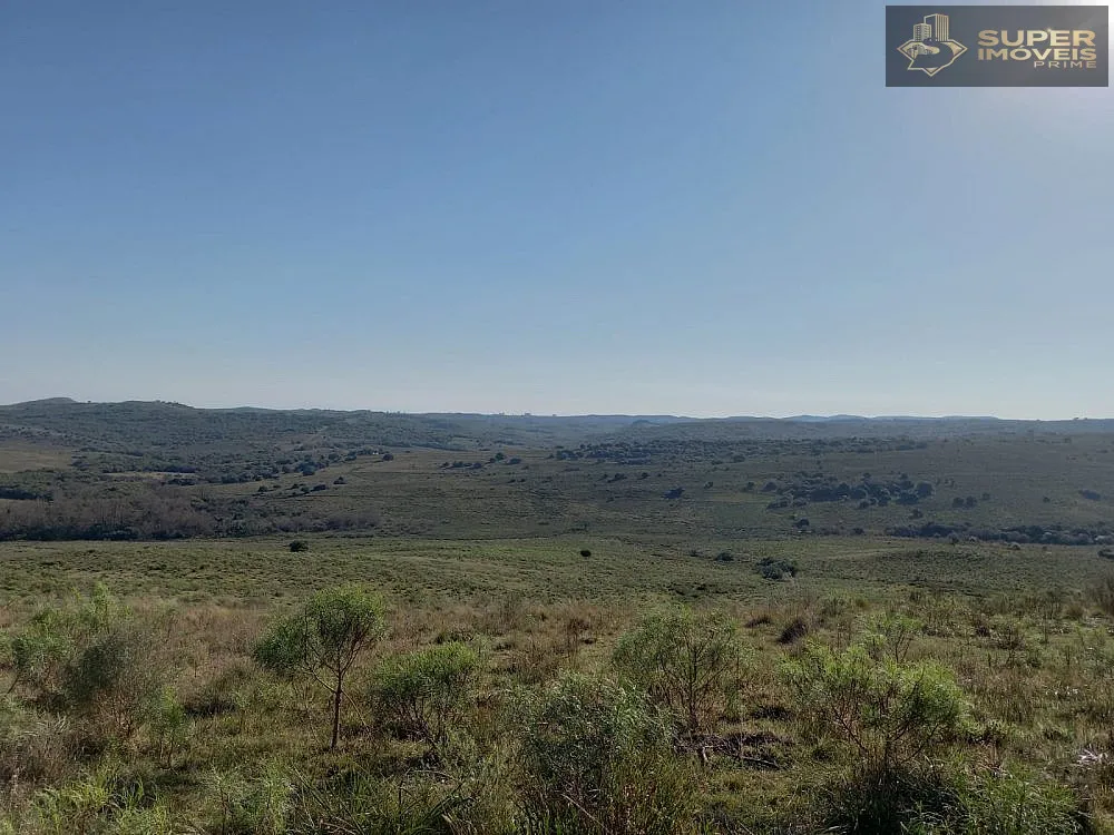 Fazenda, 1500 hectares - Foto 1