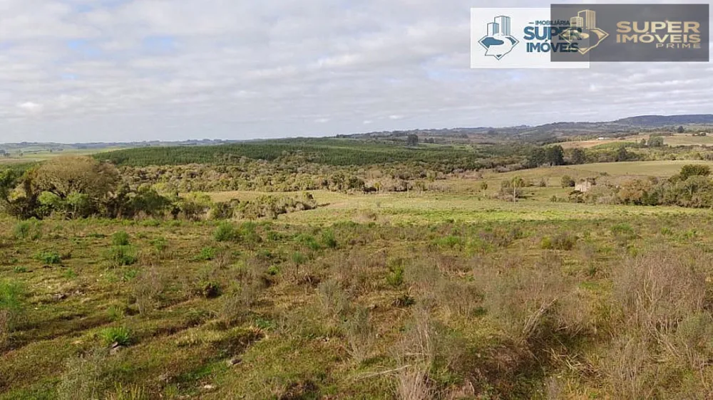 Fazenda, 6 hectares - Foto 10