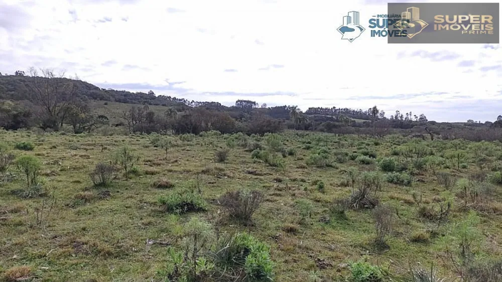 Fazenda, 6 hectares - Foto 14