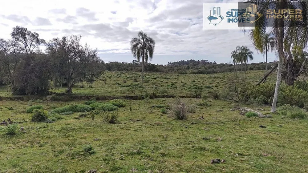 Fazenda, 6 hectares - Foto 17