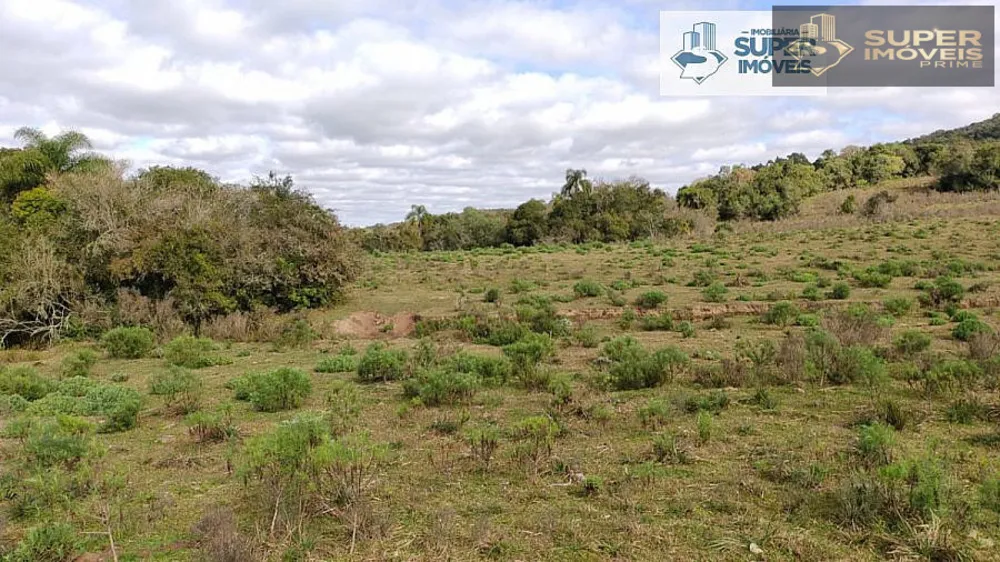 Fazenda, 6 hectares - Foto 12