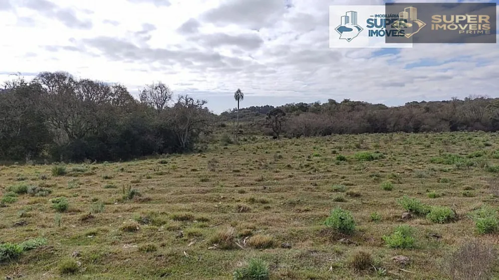 Fazenda, 6 hectares - Foto 16