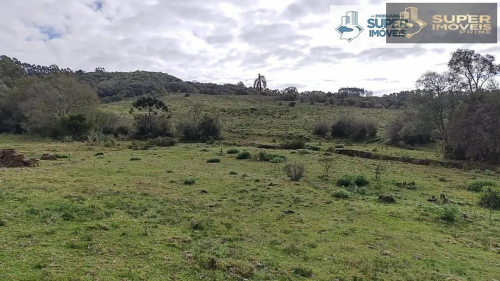 Fazenda, 6 hectares - Foto 15