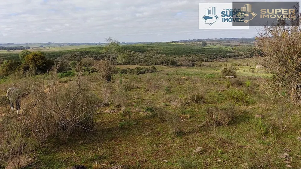 Fazenda, 6 hectares - Foto 8