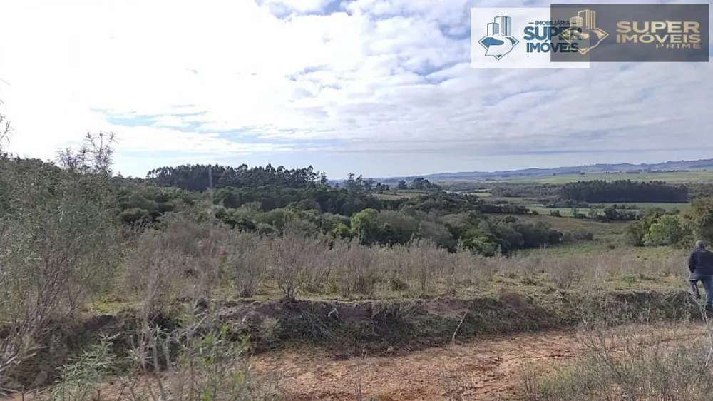 Fazenda, 6 hectares - Foto 4