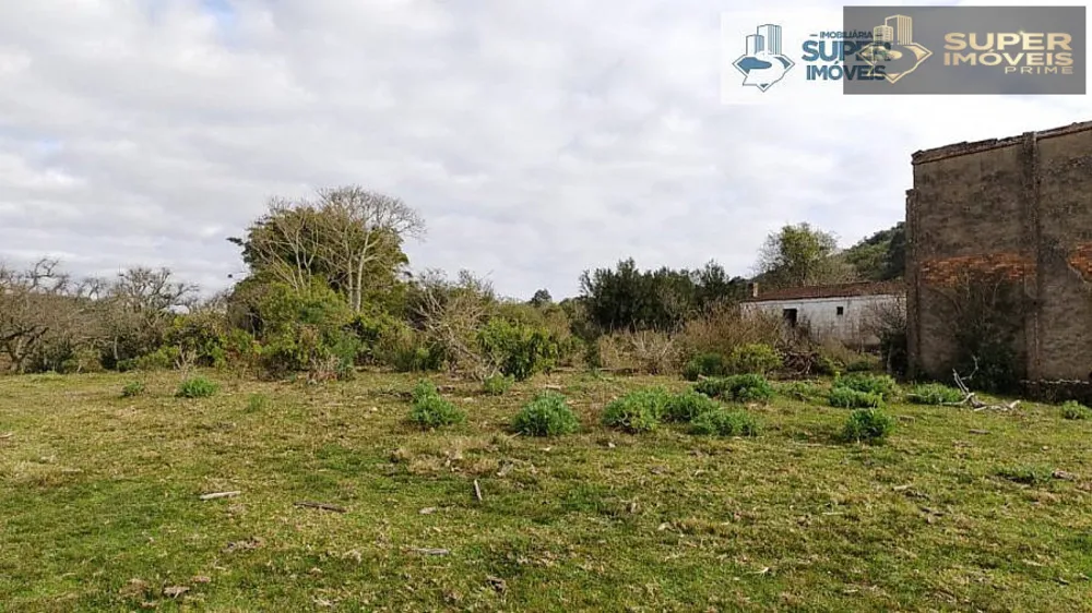 Fazenda, 6 hectares - Foto 11