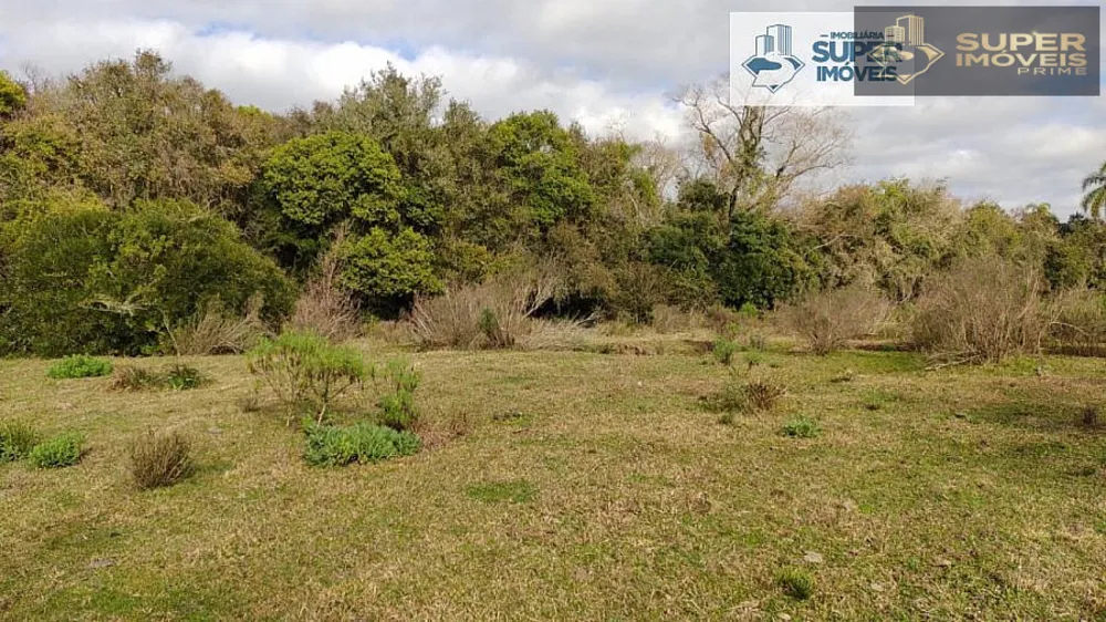 Fazenda, 6 hectares - Foto 13