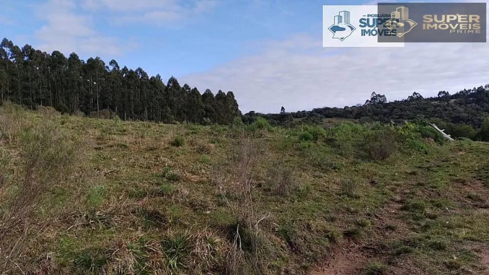 Fazenda, 6 hectares - Foto 6
