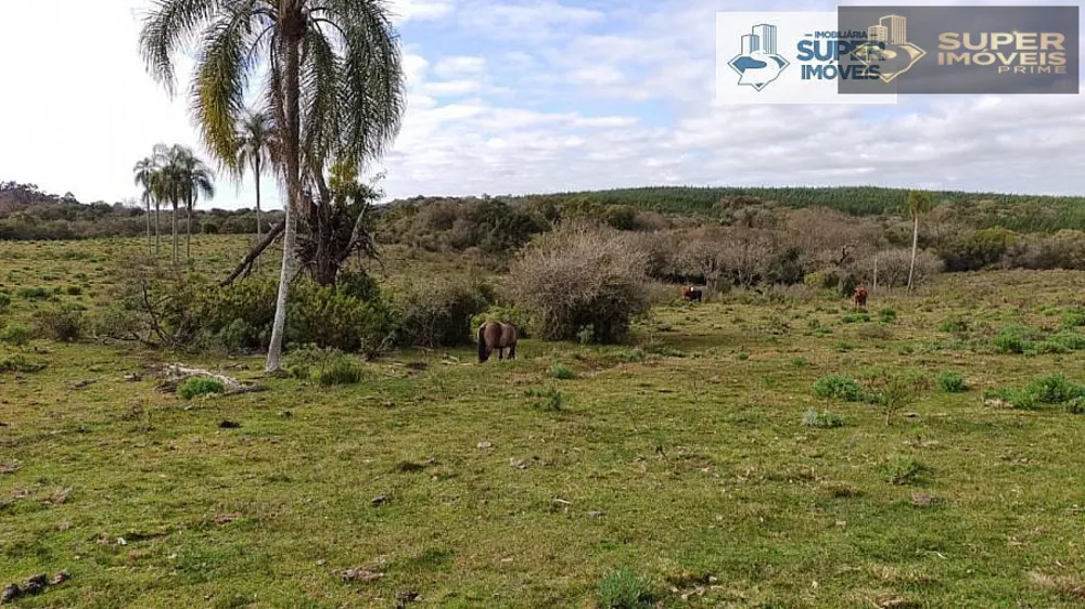 Fazenda, 6 hectares - Foto 1
