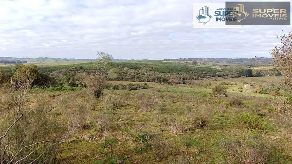 Fazenda, 6 hectares - Foto 7