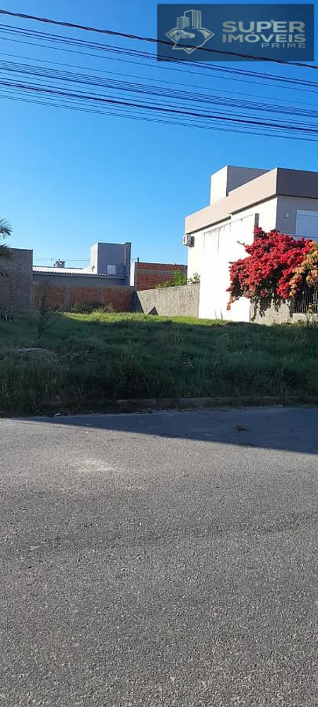Terreno, 250 m² - Foto 3