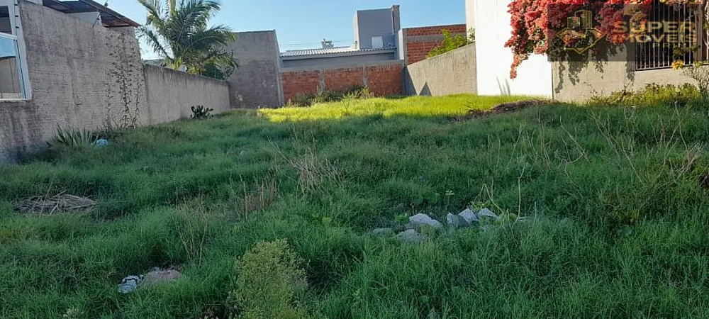 Terreno, 250 m² - Foto 4