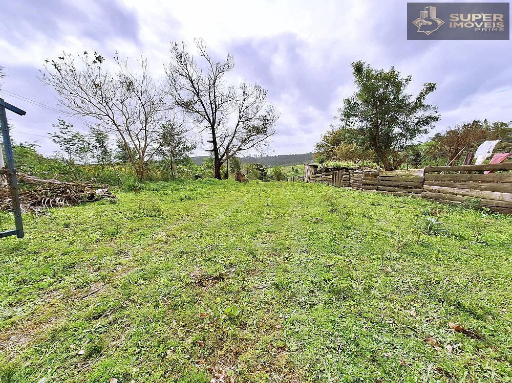 Chácara, 3 quartos, 3 hectares - Foto 9