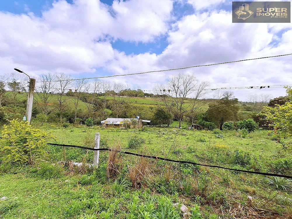 Chácara, 3 quartos, 3 hectares - Foto 8