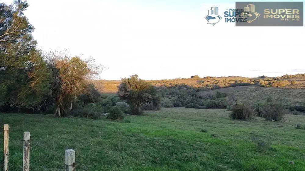 Sítio, 2 quartos, 26 hectares - Foto 13