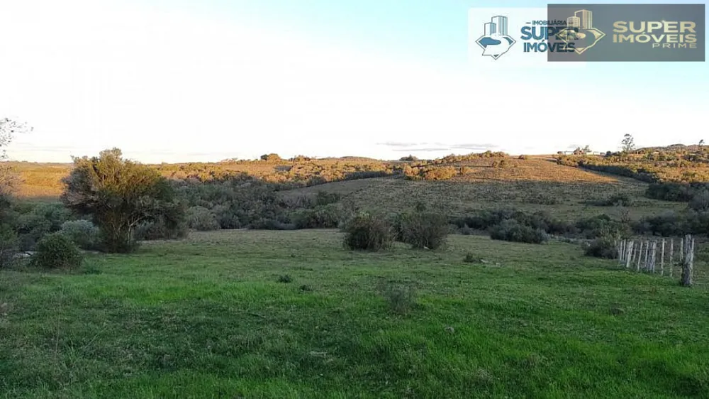Sítio, 2 quartos, 26 hectares - Foto 6