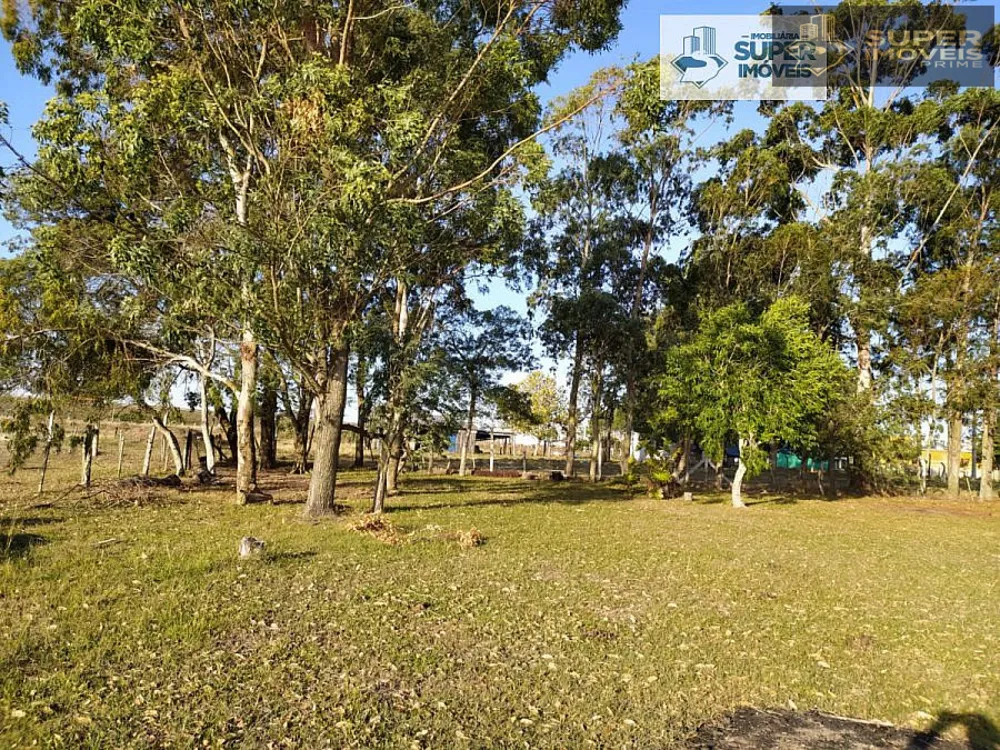 Sítio, 2 quartos, 6 hectares - Foto 6