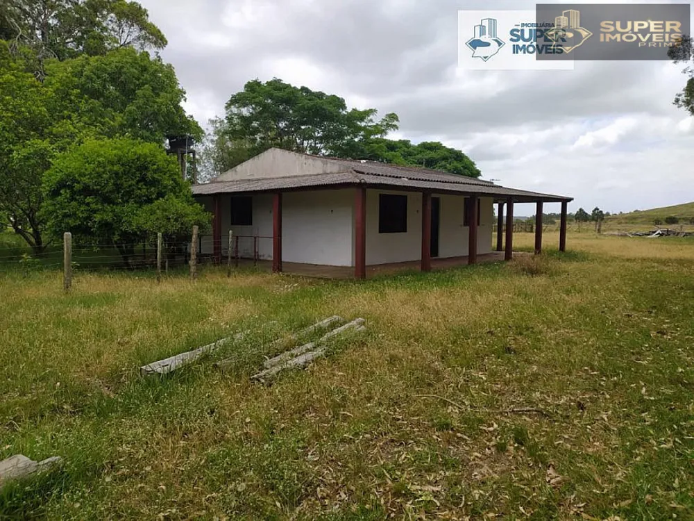 Sítio, 2 quartos, 6 hectares - Foto 4