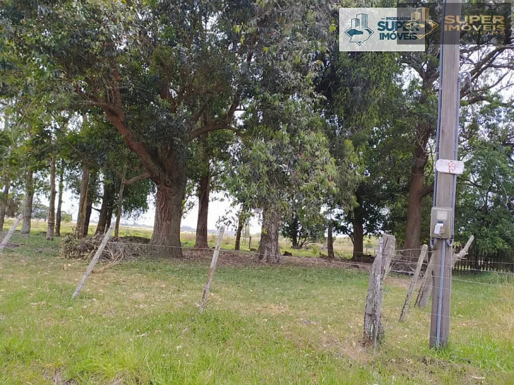 Sítio, 2 quartos, 6 hectares - Foto 16