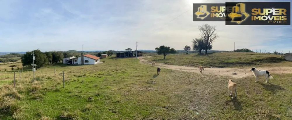 Fazenda à venda com 2 quartos, 4140000m² - Foto 1