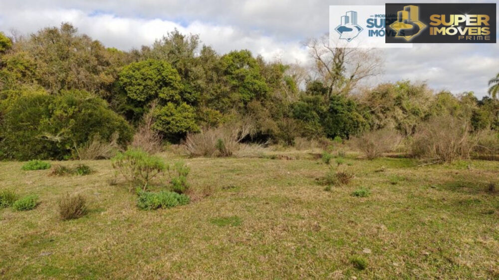 Fazenda à venda com 2 quartos, 580000m² - Foto 10