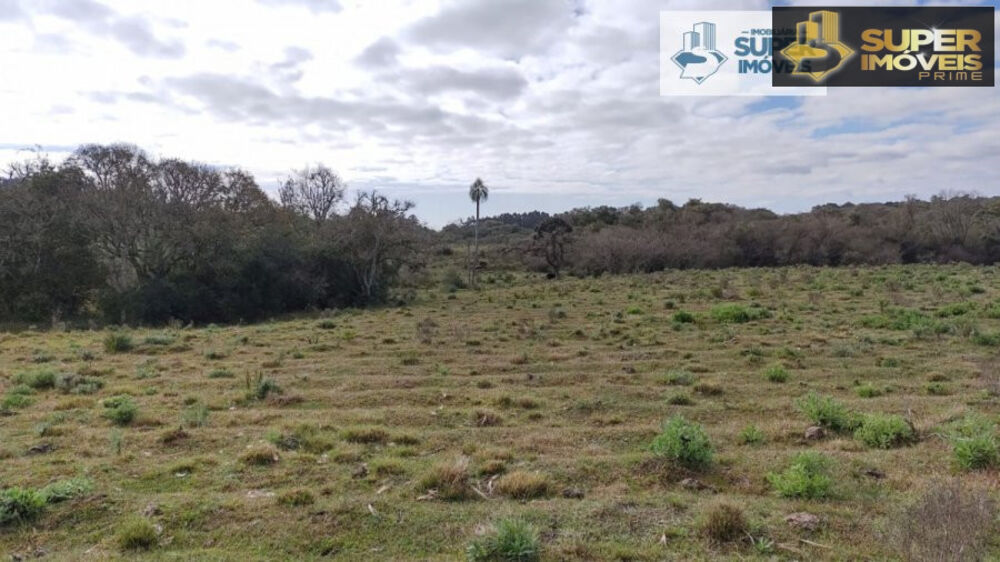 Fazenda à venda com 2 quartos, 580000m² - Foto 12