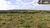 Fazenda-Sítio-Chácara, 58 hectares - Foto 1