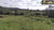 Fazenda-Sítio-Chácara, 58 hectares - Foto 11