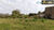 Fazenda-Sítio-Chácara, 58 hectares - Foto 8