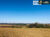 Fazenda, 288 hectares - Foto 4