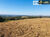 Fazenda-Sítio-Chácara, 288 hectares - Foto 6