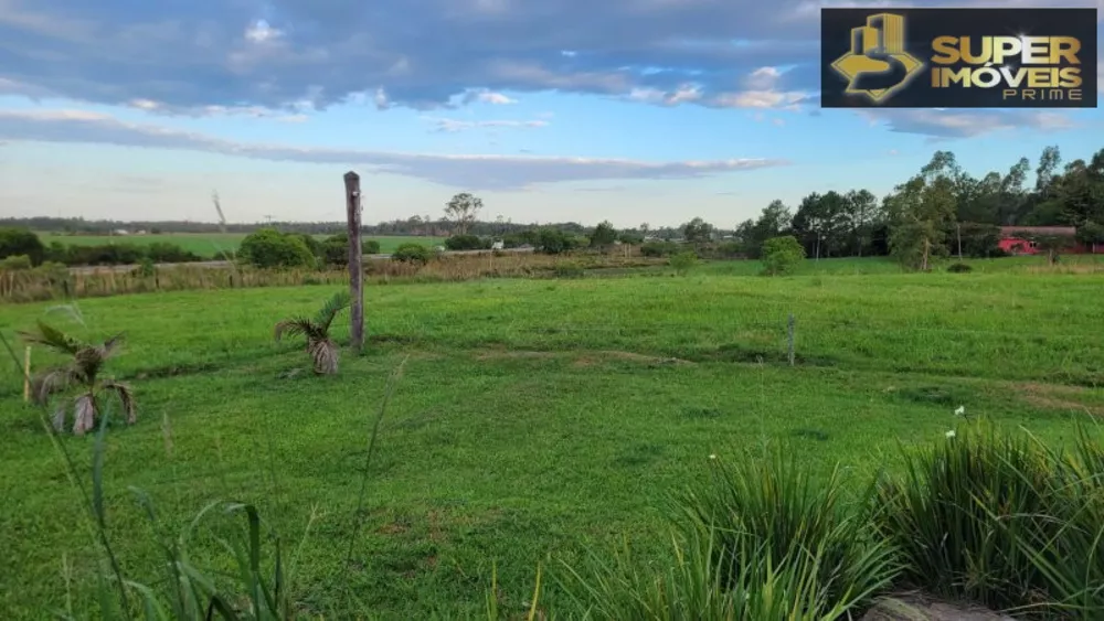 Fazenda à venda com 3 quartos, 20000m² - Foto 6