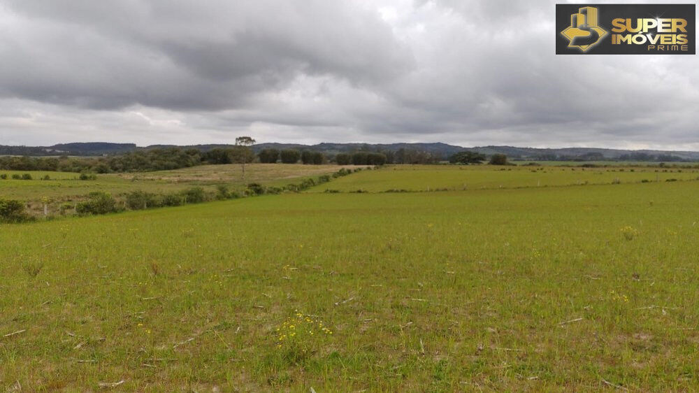 Fazenda à venda com 3 quartos, 660000m² - Foto 2