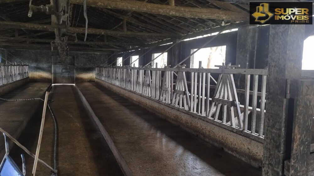 Fazenda à venda com 3 quartos, 660000m² - Foto 10