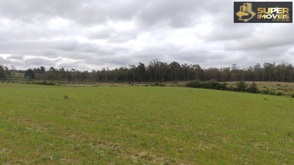Fazenda à venda com 3 quartos, 660000m² - Foto 3