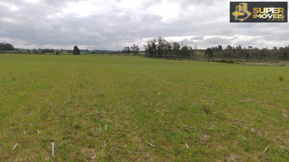Fazenda à venda com 3 quartos, 660000m² - Foto 4